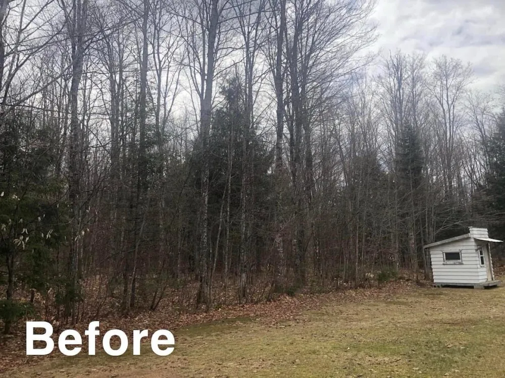 Reliable lawn mowing service with custom design in Munising, MI by Berrr Services