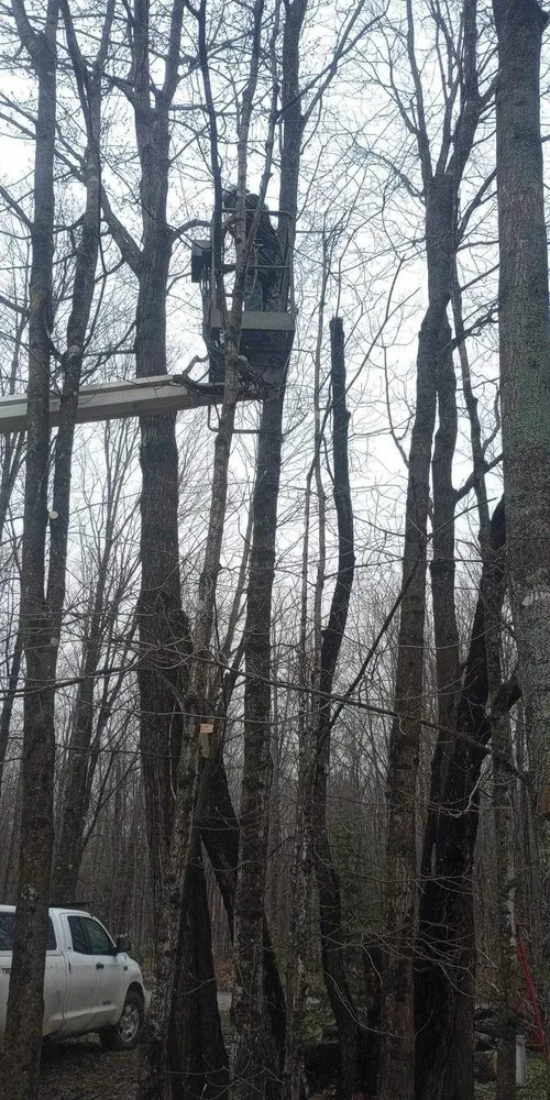 Expert landscape installation for outdoor upgrades in Munising, MI by Berrr Services