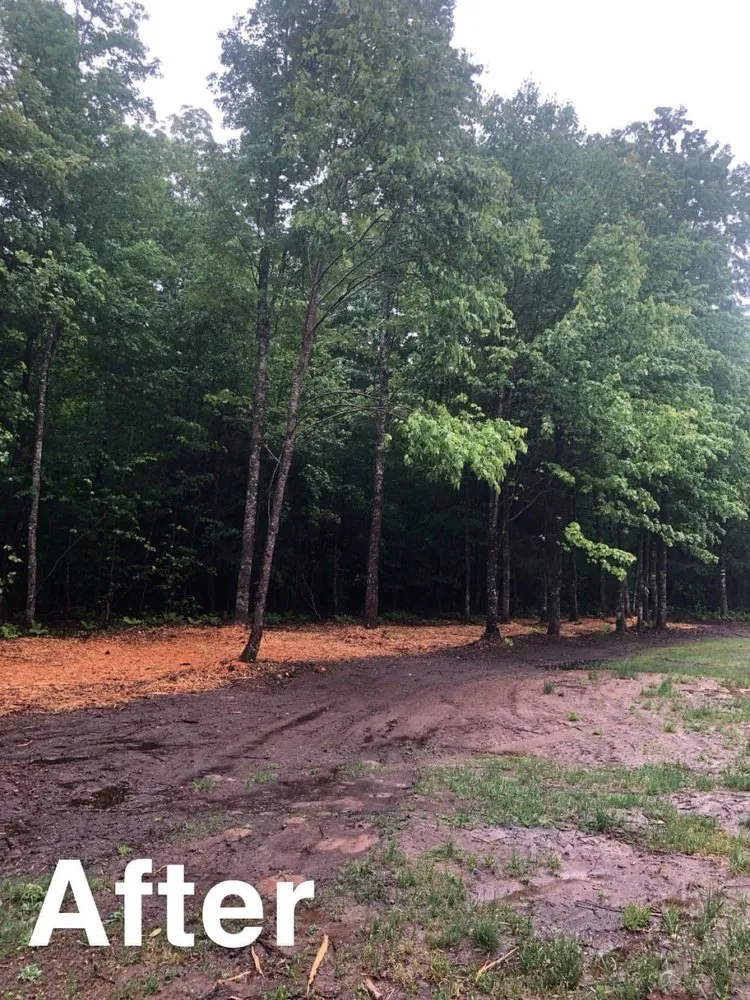 Local landscape design for year-round maintenance across Munising, MI - Berrr Services