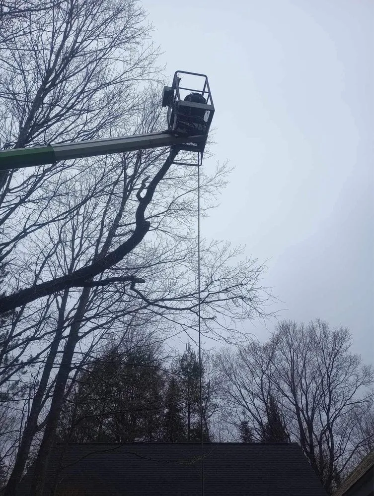 Top-rated garden landscaping in Munising, MI - Berrr Services