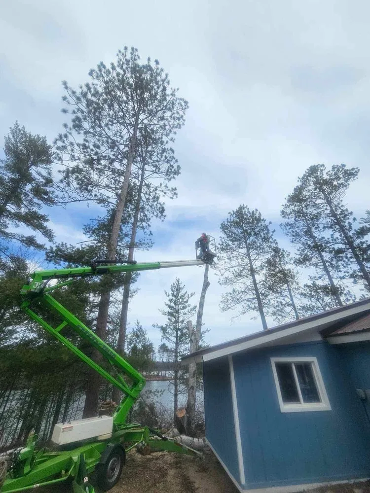 Top-rated lawn mowing service experts serving Munising, MI - Berrr Services