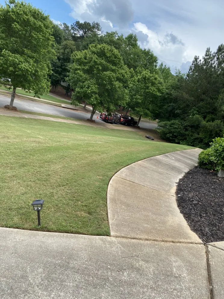 Local yard cleanup service in McDonough, GA - Berry Good Lawn Serrvice