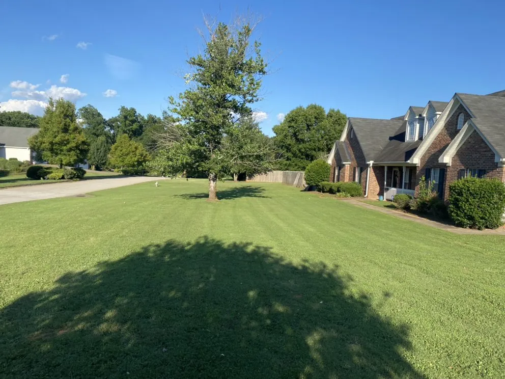 Local lawn care service in McDonough, GA by Berry Good Lawn Serrvice