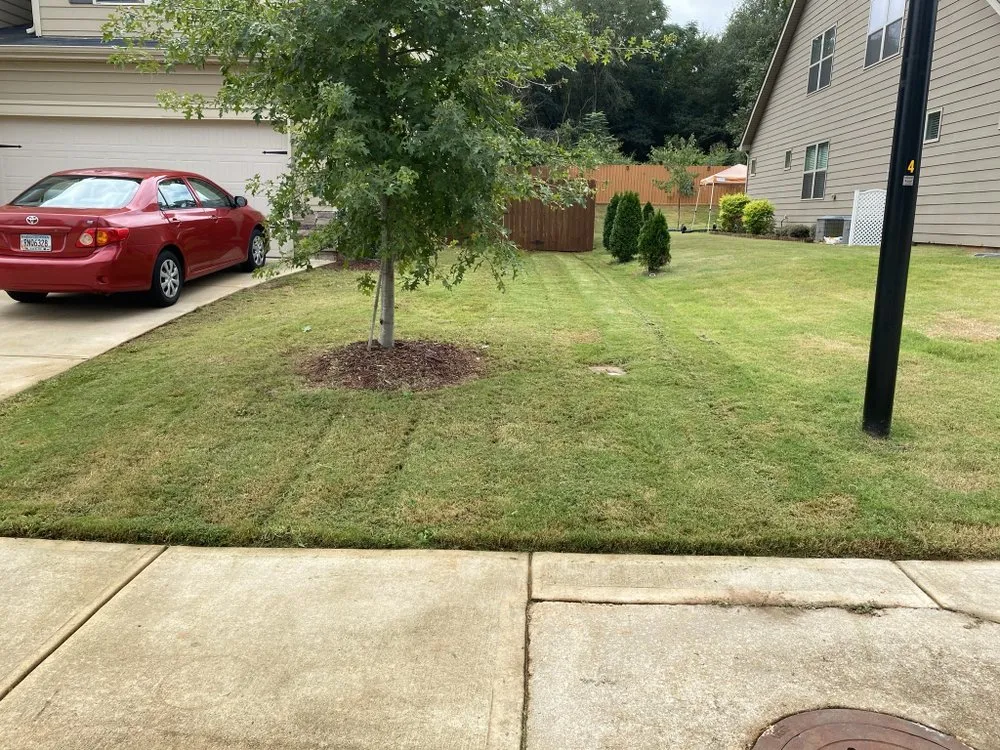 Affordable lawn care service for outdoor upgrades across McDonough, GA - Berry Good Lawn Serrvice