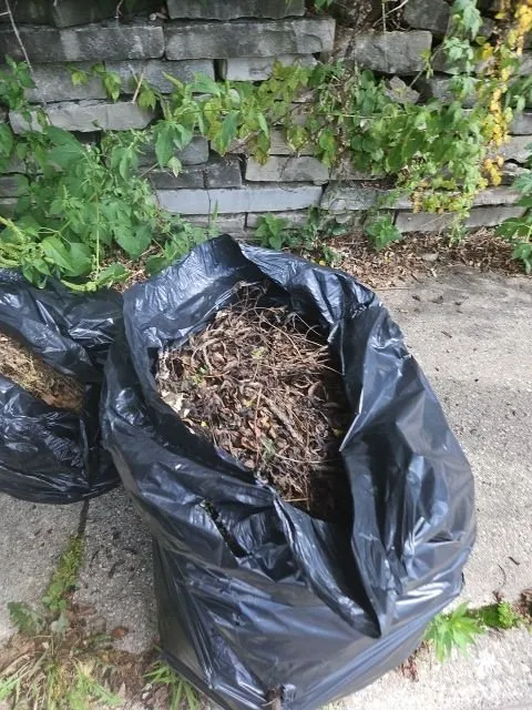 Local landscaping services in Brown Deer, WI by Berry Unique Cleaning Services