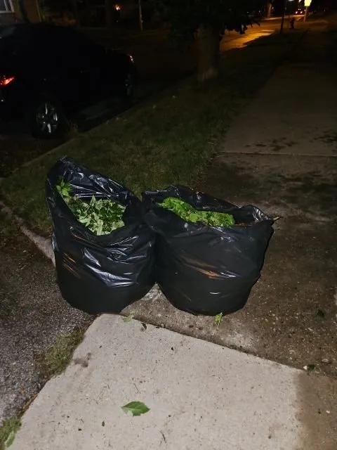 Custom lawn mowing service in Brown Deer, WI - Berry Unique Cleaning Services