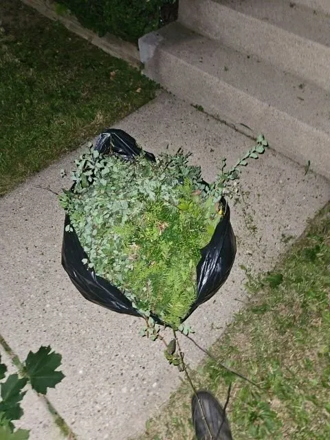 Trusted landscape installation for outdoor upgrades in Brown Deer, WI by Berry Unique Cleaning Services