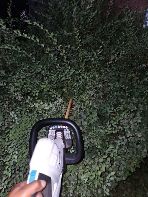 Trusted outdoor landscaping for beautiful yards across Brown Deer, WI - Berry Unique Cleaning Services