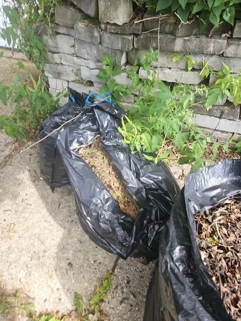 Trusted yard cleanup service for year-round maintenance across Brown Deer, WI - Berry Unique Cleaning Services