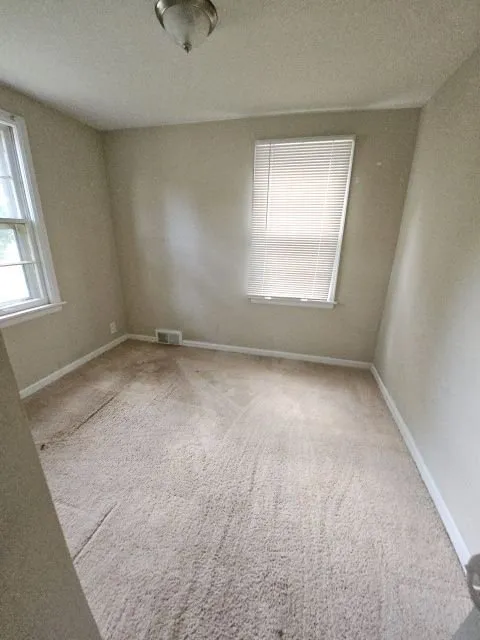 Affordable residential landscaping in Brown Deer, WI by Berry Unique Cleaning Services