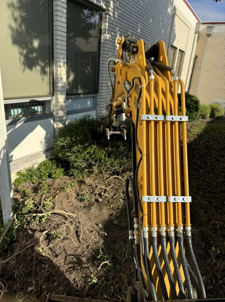 Expert yard cleanup service in Cochran, GA - Berryhill Lawn Care