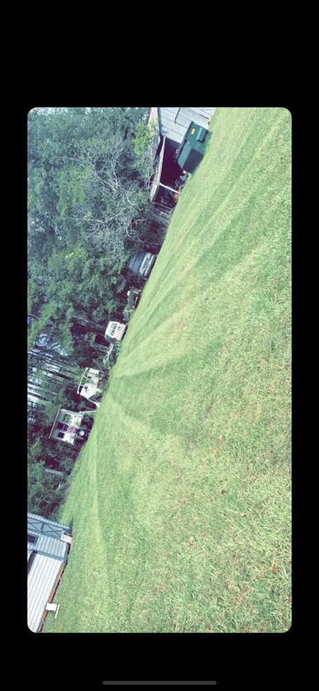 Affordable landscape installation experts serving Cochran, GA - Berryhill Lawn Care