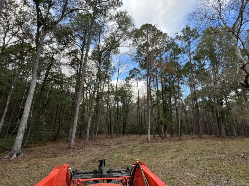 Affordable landscape installation in Cochran, GA by Berryhill Lawn Care