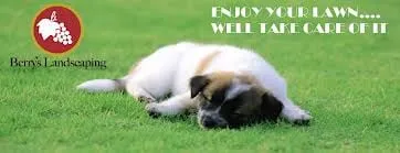 Expert yard maintenance experts serving Myakka City, FL - Berry's Lawn & Landscaping