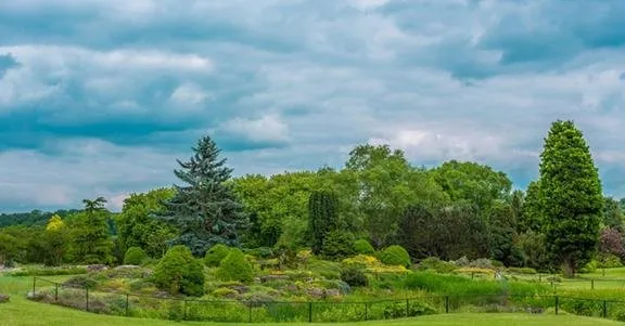 Local residential landscaping with custom design across Selah, WA - Berry's Spray Service