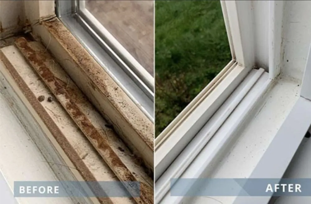 Custom yard maintenance experts serving Palmetto, FL - Berrys Window Cleaning Services