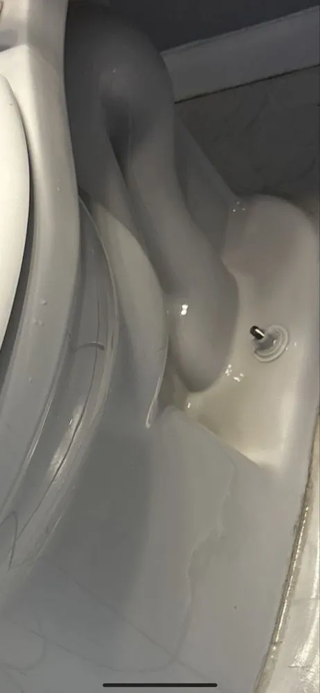 Local outdoor landscaping in Palmetto, FL - Berrys Window Cleaning Services