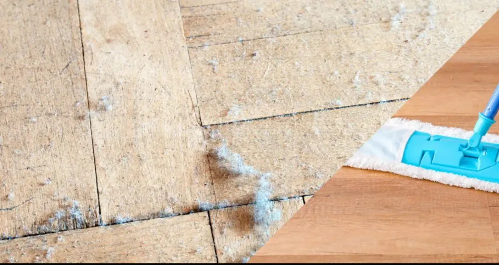 Custom garden landscaping in Palmetto, FL - Berrys Window Cleaning Services