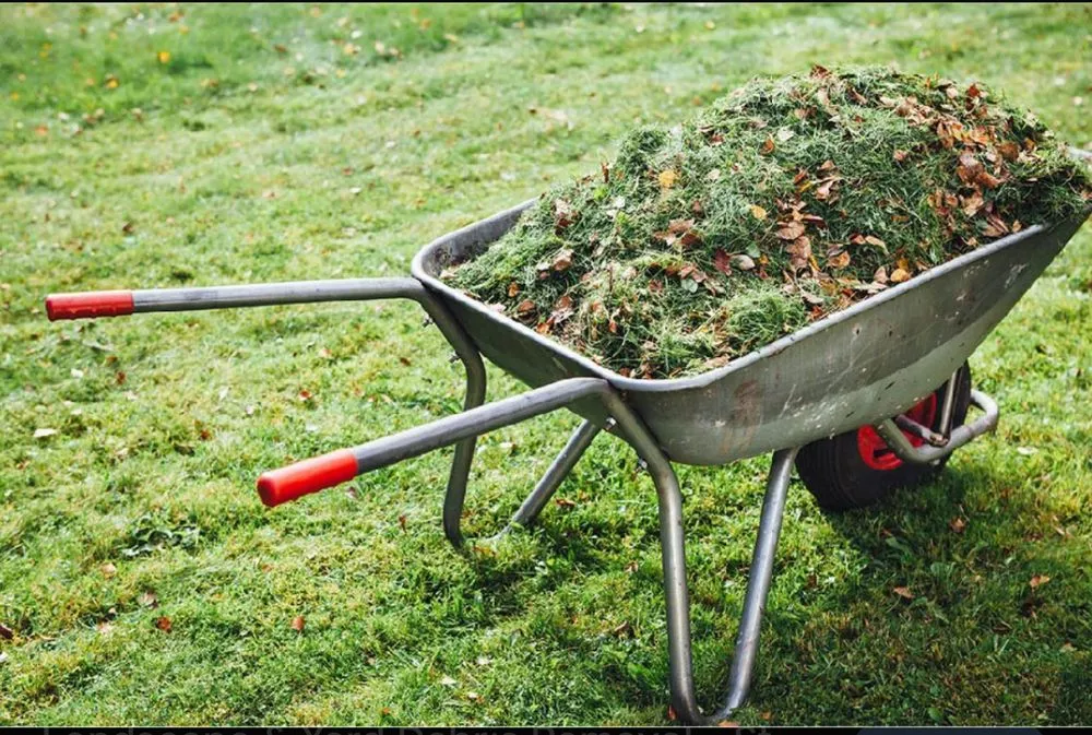 Top-rated landscape design experts serving Palmetto, FL - Berrys Window Cleaning Services