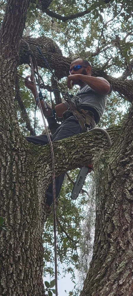 Top-rated garden landscaping in Port Charlotte, FL by berserker patriot store lawn and trees