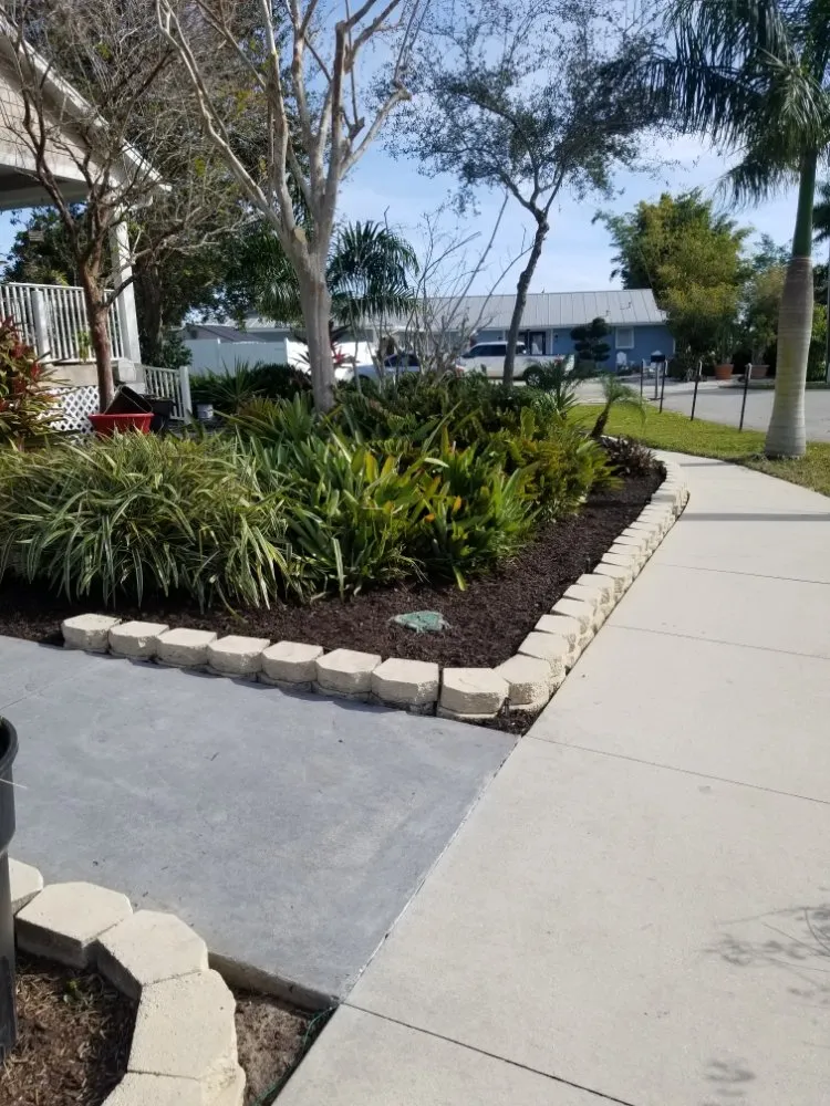 Expert yard cleanup service for homes in Port Charlotte, FL by berserker patriot store lawn and trees