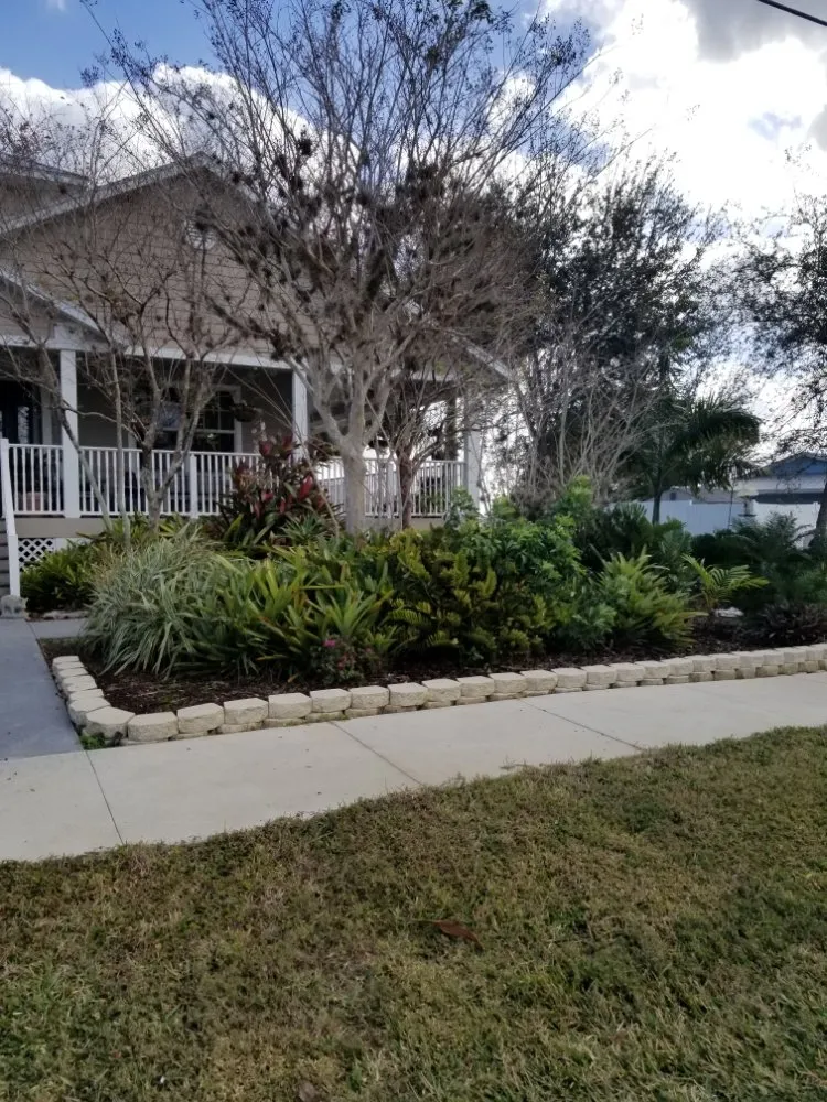Affordable residential landscaping in Port Charlotte, FL by berserker patriot store lawn and trees