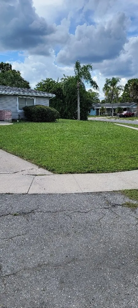 Affordable lawn care service in Port Charlotte, FL - berserker patriot store lawn and trees