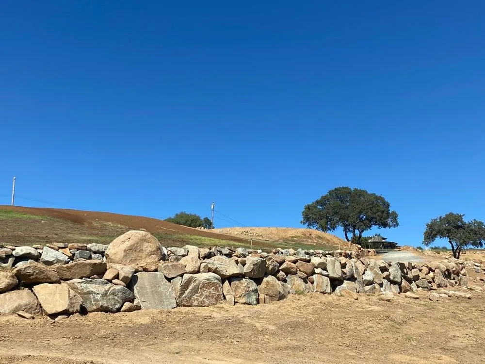 Expert yard maintenance in Newcastle, CA by Bertalan Landscaping