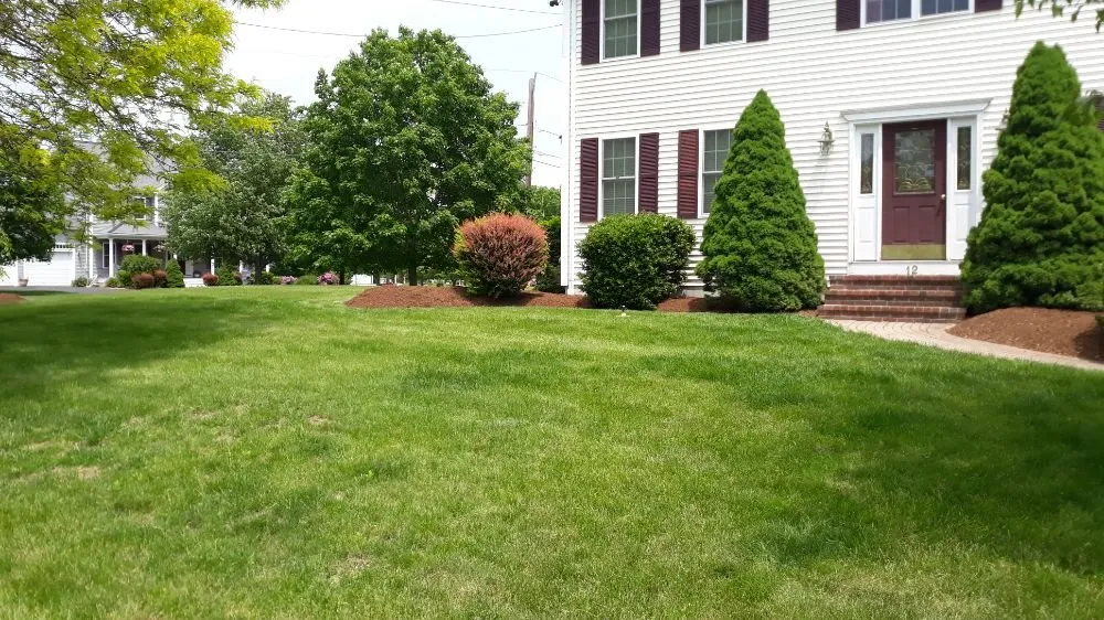 Professional yard maintenance experts serving Attleboro, MA - Bertoni & Sons Landscaping