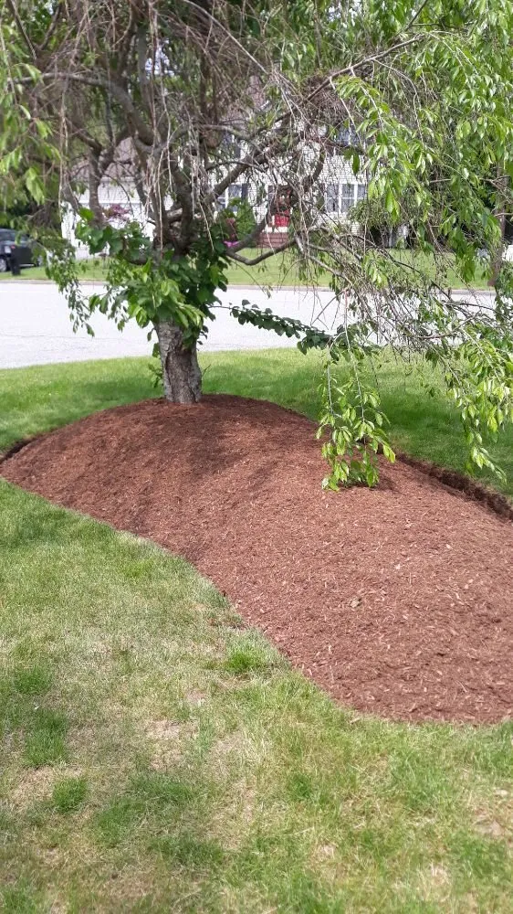 Trusted lawn mowing service experts serving Attleboro, MA - Bertoni & Sons Landscaping