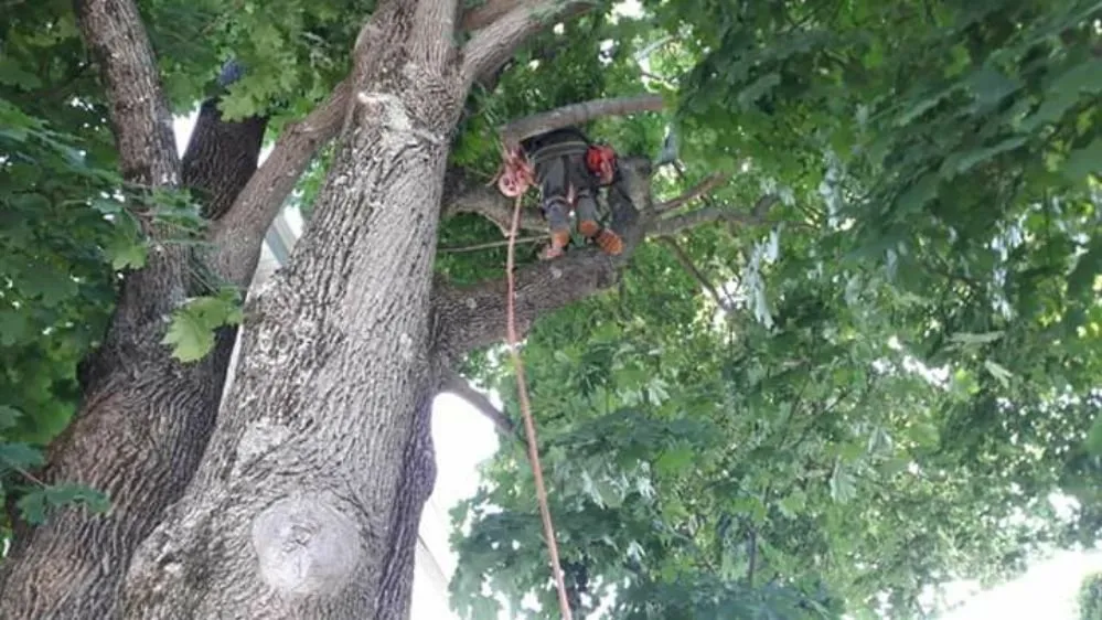 Custom residential landscaping in Attleboro, MA - Bertoni & Sons Landscaping
