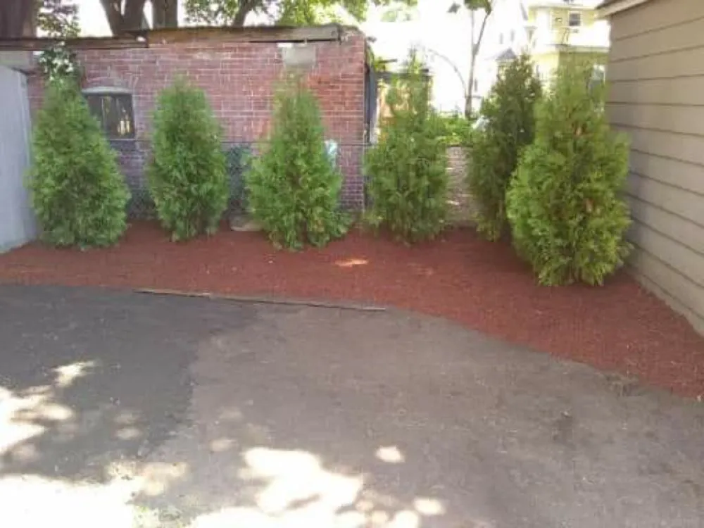 Top-rated yard cleanup service experts serving Attleboro, MA - Bertoni & Sons Landscaping