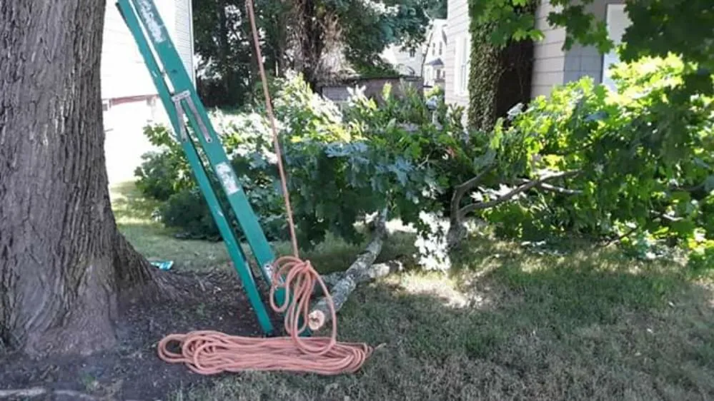 Professional landscaping services for residential properties in Attleboro, MA by Bertoni & Sons Landscaping