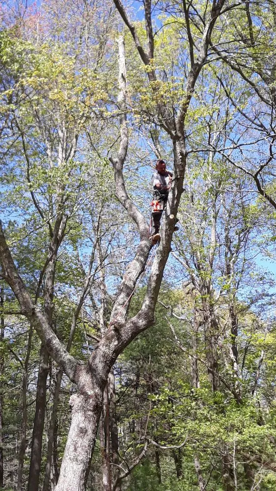 Expert landscaping services with custom design across Attleboro, MA - Bertoni & Sons Landscaping