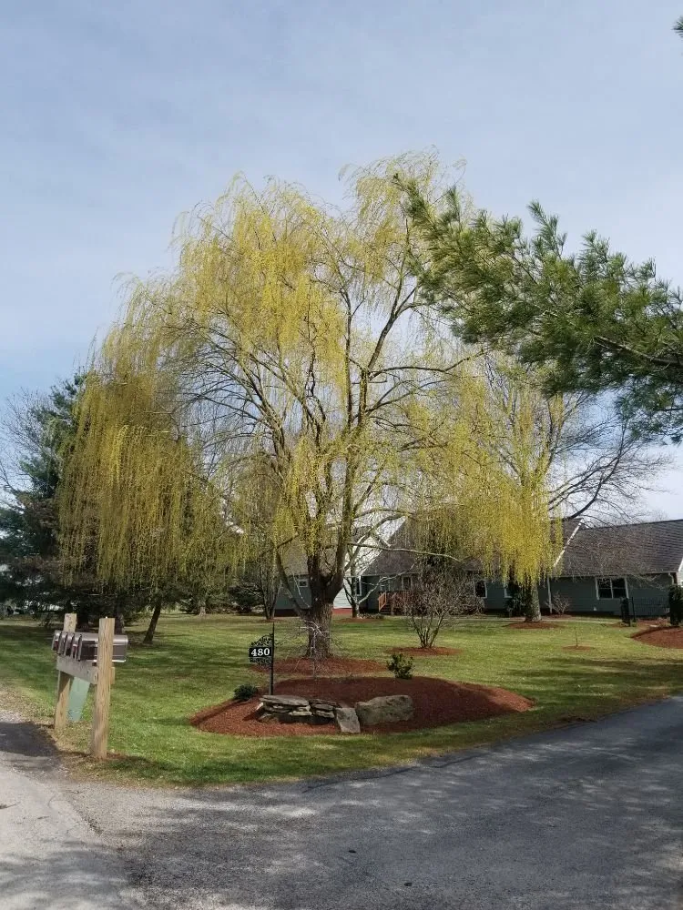 Custom lawn mowing service for year-round maintenance in Indiana, PA by Berto's Landscaping