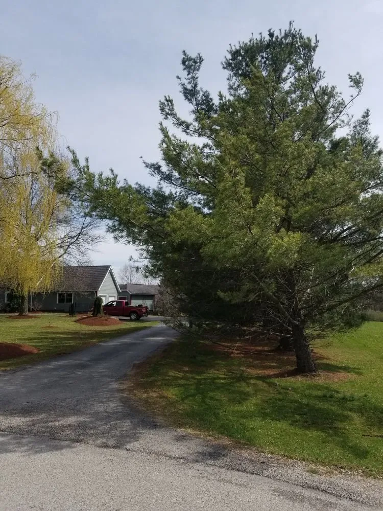 Trusted lawn care service experts serving Indiana, PA - Berto's Landscaping