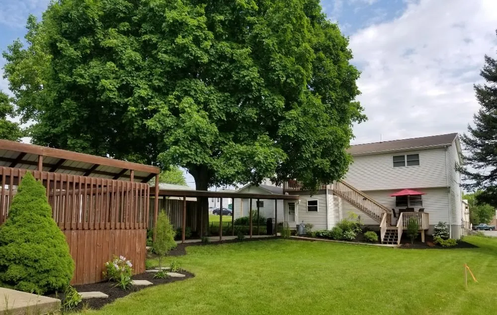 Reliable yard cleanup service experts serving Indiana, PA - Berto's Landscaping