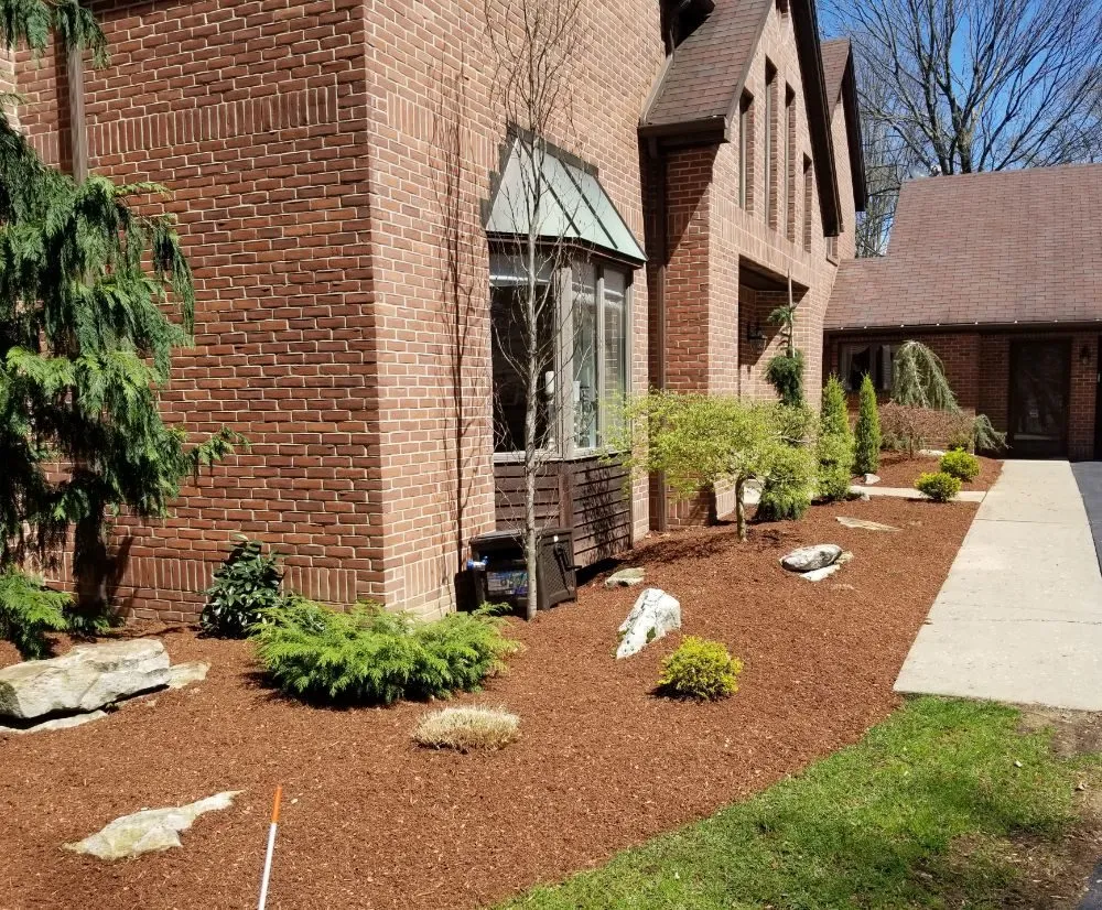 Trusted yard cleanup service in Indiana, PA - Berto's Landscaping