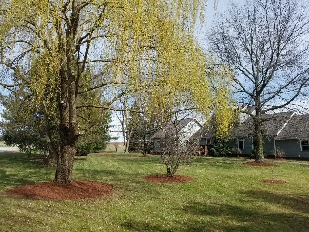 Custom landscaping services with custom design across Indiana, PA - Berto's Landscaping