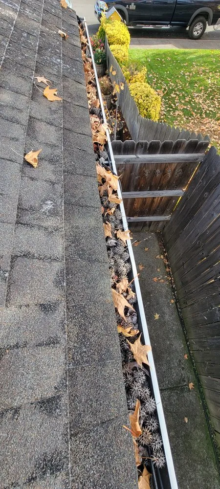 Affordable yard maintenance experts serving Grants Pass, OR - Bert's landscaping