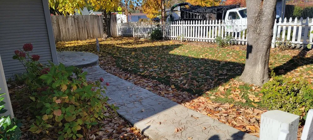 Expert lawn care service for outdoor upgrades in Grants Pass, OR by Bert's landscaping