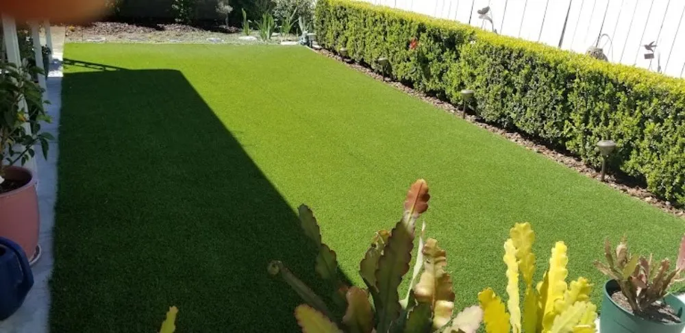 Local outdoor landscaping in Oxnard, CA - Berumen Landscape
