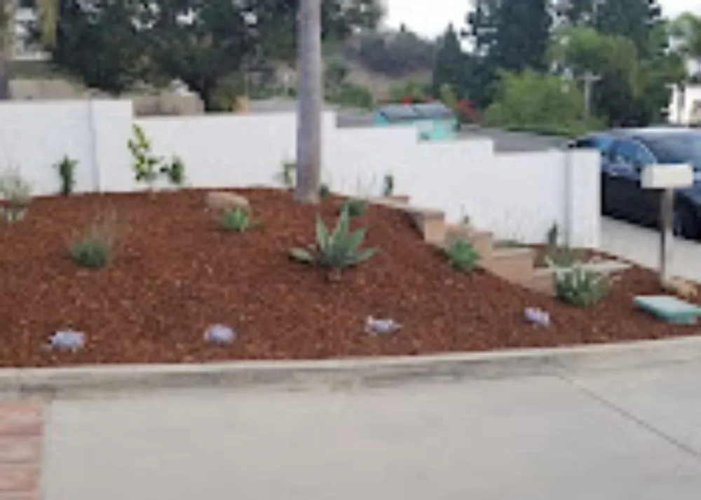 Expert lawn mowing service for residential properties across Oxnard, CA - Berumen Landscape