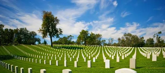 Affordable yard cleanup service experts serving Berwick, PA - Berwick Landscaping