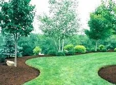 Expert landscaping services experts serving Berwick, PA - Berwick Landscaping