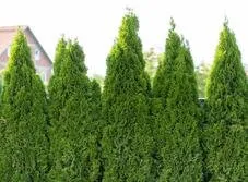 Expert outdoor landscaping in Berwick, PA - Berwick Landscaping