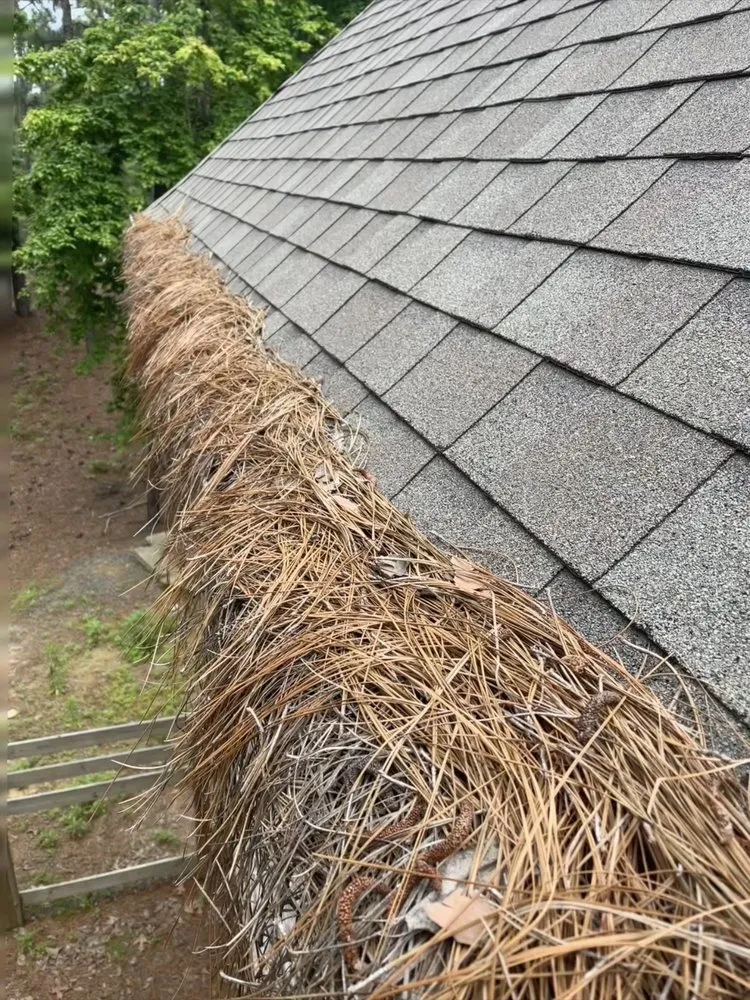 Expert outdoor landscaping in Maxton, NC - B&Es LawnCare and Gutter Cleaning