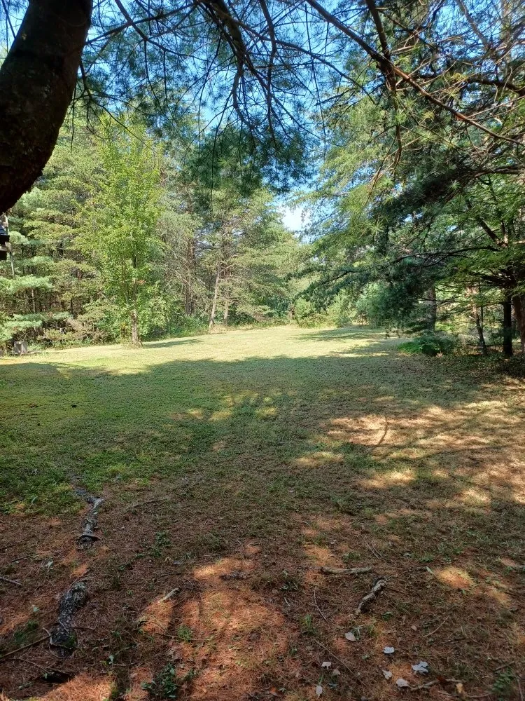 Top-rated yard maintenance in McConnellsburg, PA by Besaw Lawncare