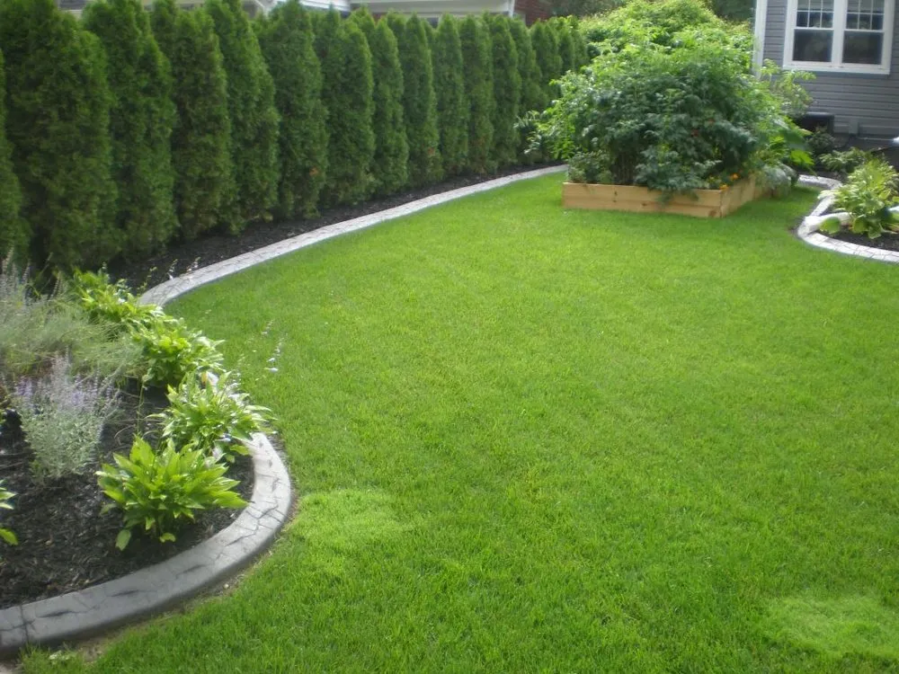 Local outdoor landscaping for outdoor upgrades in Tuckahoe, VA by Bespoke Borders