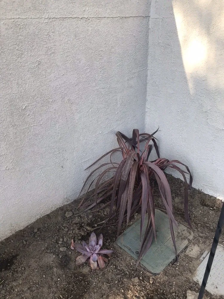 Affordable residential landscaping in Huntington Beach, CA - Bespoke Exterior Living